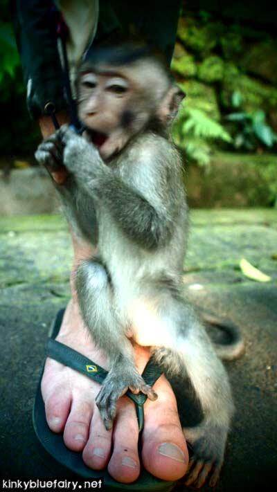 Monkey Forest, Ubud