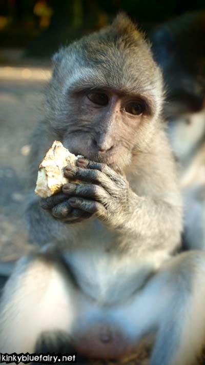 Monkey Forest, Ubud