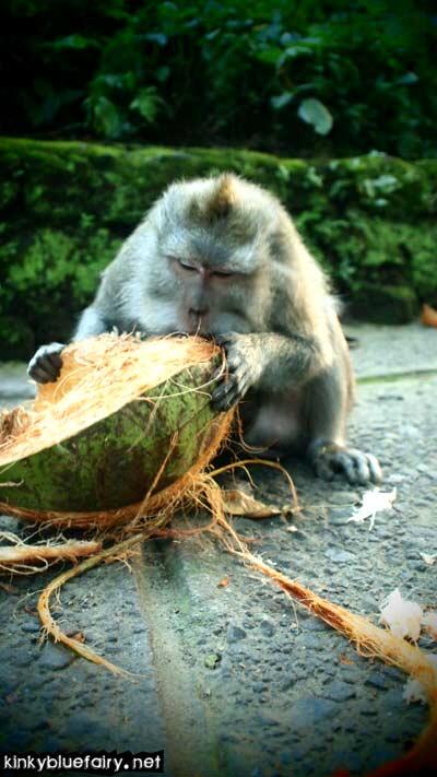 Monkey Forest, Ubud