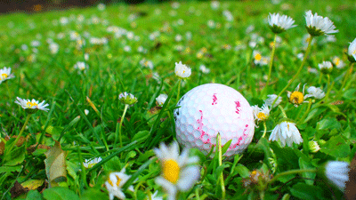 wilson the golf ball