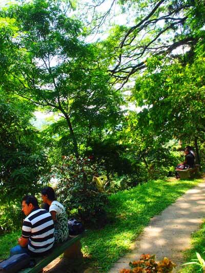 Royal Palace Park, Kandy