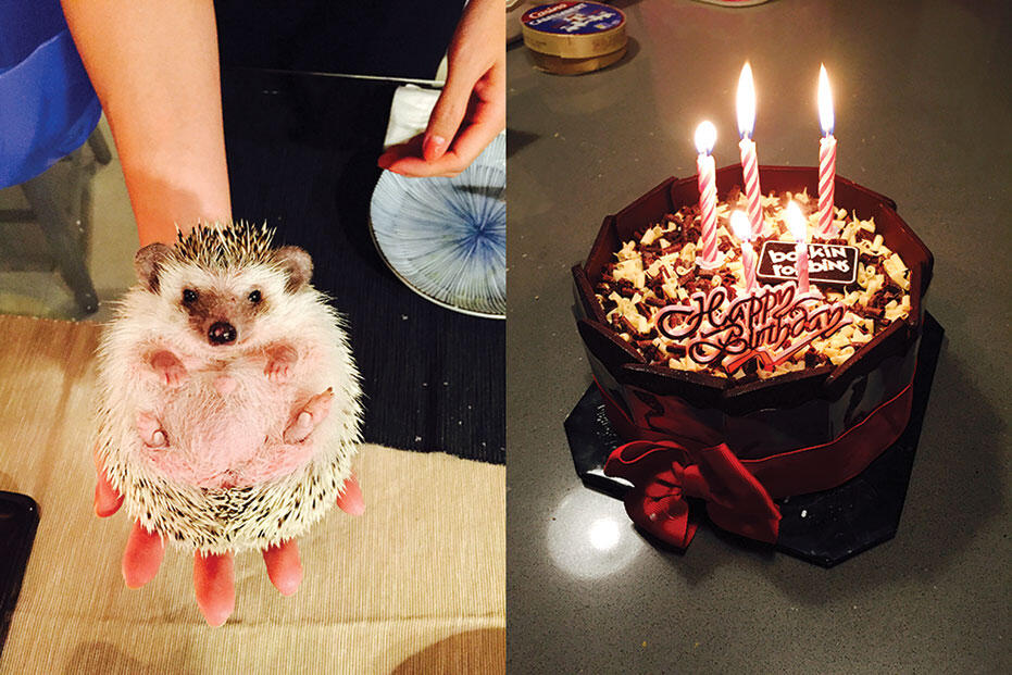 Joyce-birthday-2015-3-hedgehog-baskin-robbins-ice-cream-cake