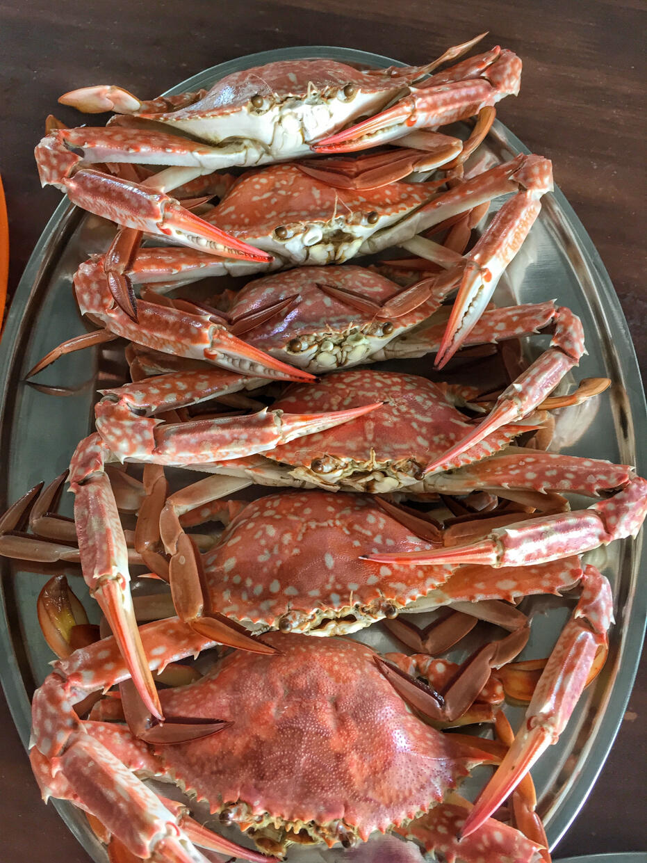 Penang June 2016- food and wedding-12 ketam crab