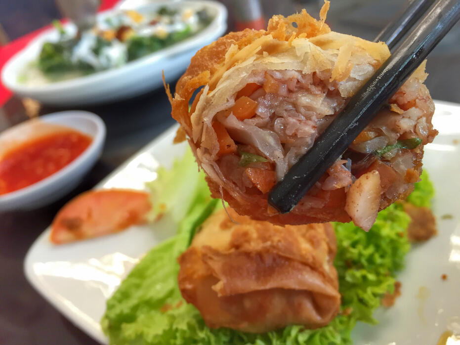 Penang June 2016- food and wedding-33 Spring roll