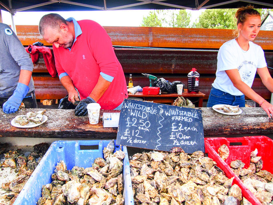 Whitstable-Oyster-Festival-England-2015-22