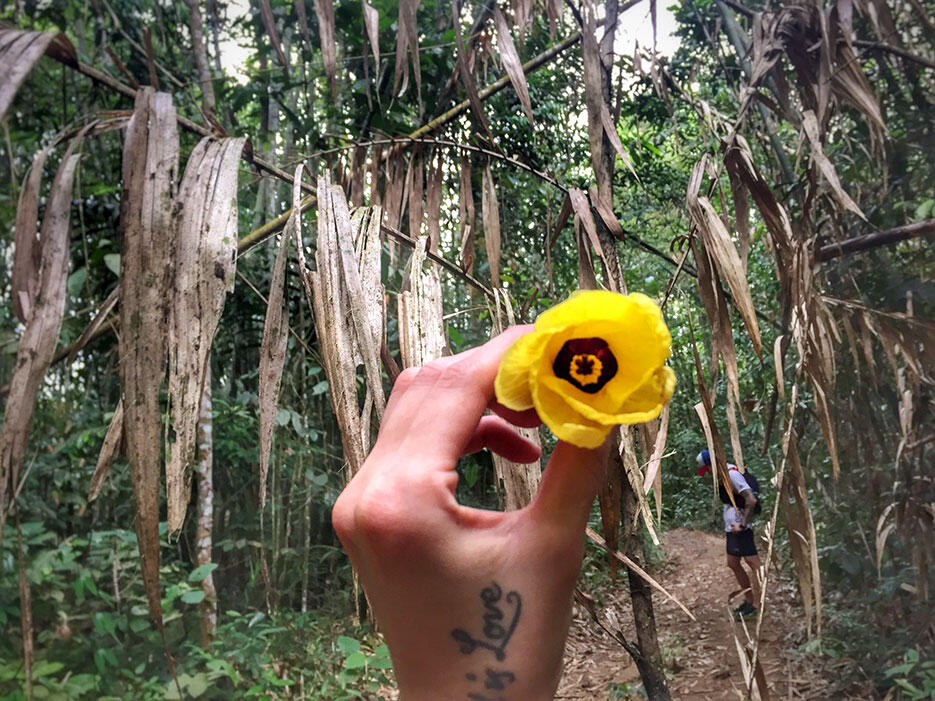 bukit-kutu-kuala-kubu-bharu-hiking-malaysia-12