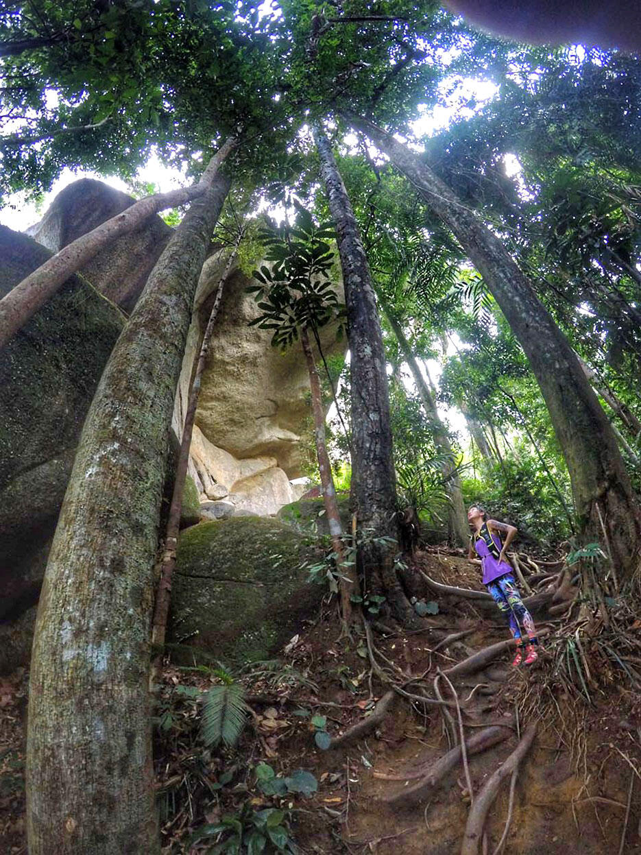 bukit-kutu-kuala-kubu-bharu-hiking-malaysia-14-joyce-wong