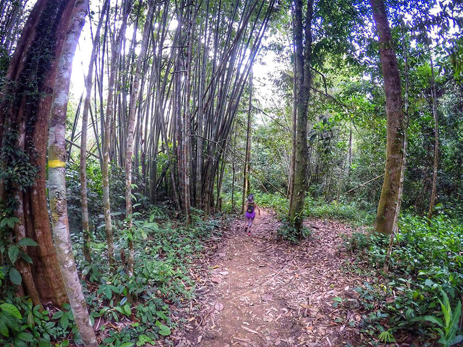 bukit-kutu-kuala-kubu-bharu-hiking-malaysia-16