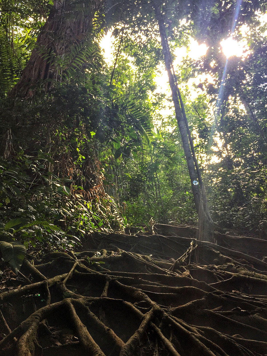 bukit-kutu-kuala-kubu-bharu-hiking-malaysia-3