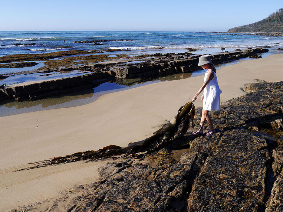 great-ocean-road-26-victoria-australia-rock-beach-kelp-giant-seaweed