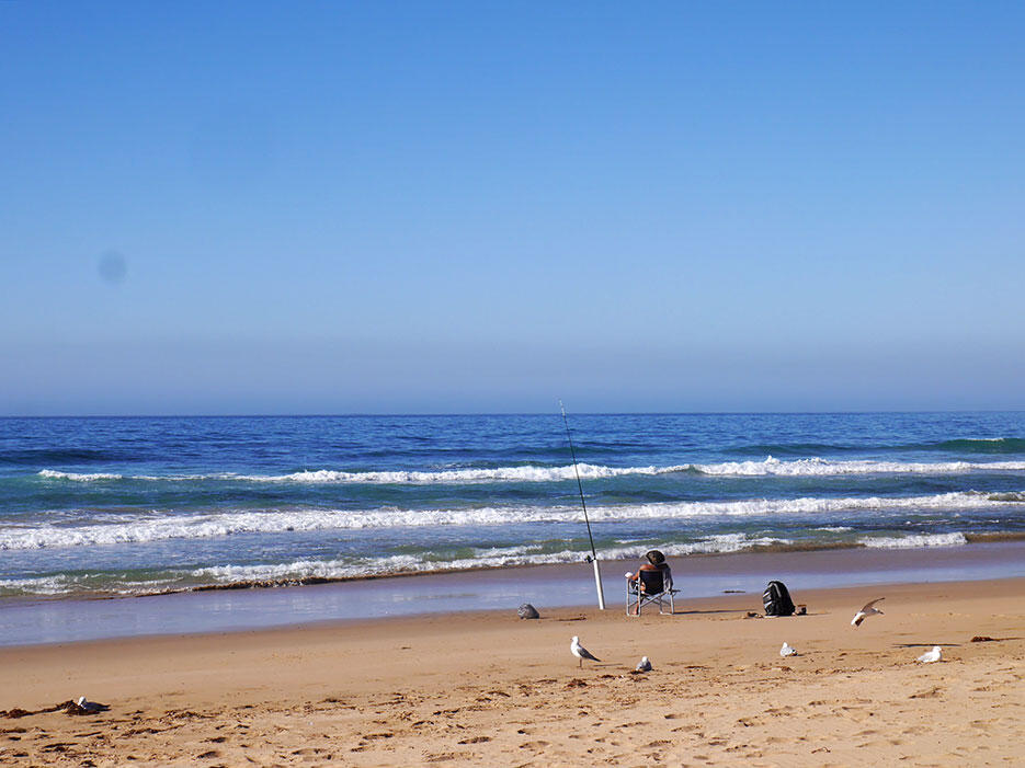 great-ocean-road-29-victoria-australia-sea-ocean-fisherman-seagulls