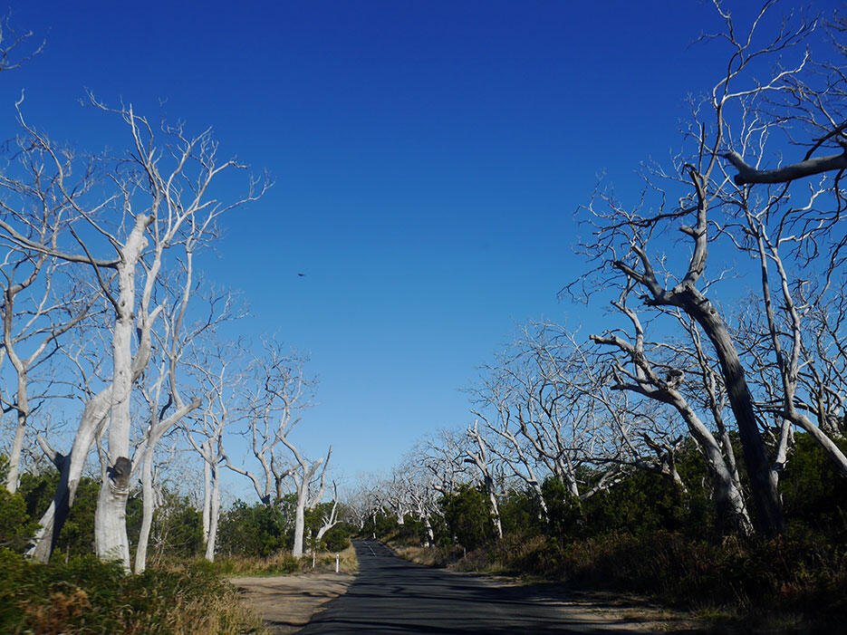 great-ocean-road-3