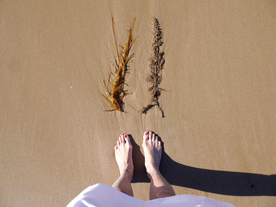 great-ocean-road-31-victoria-australia-seaweed