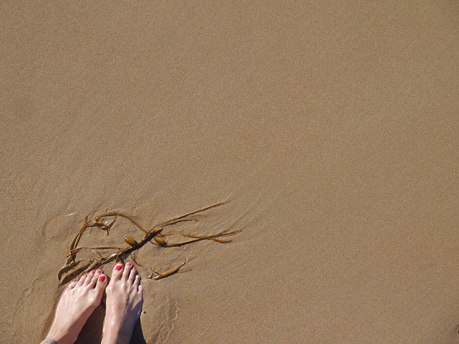 great-ocean-road-32-victoria-australia-seaweed-beach