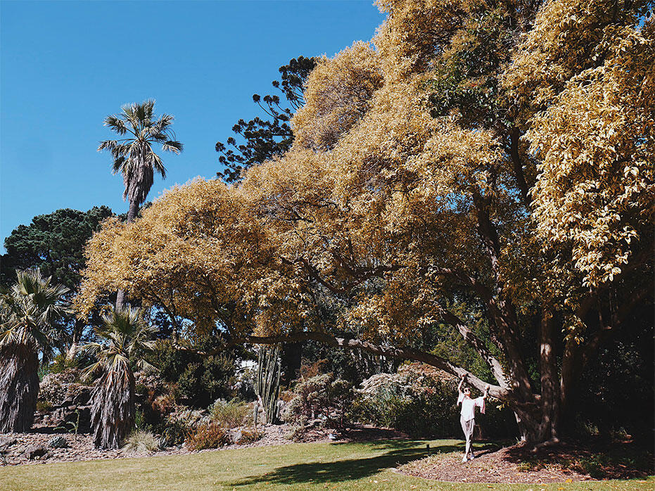 Melbourne-Australia-1-Queen-Victoria-Gardens