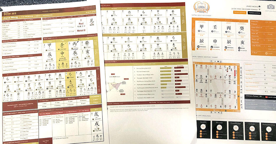 How To Read Bazi Chart Joey Yap