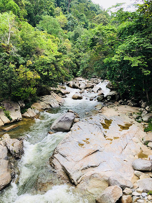 a-lentang-forest-bentong-pahang-2