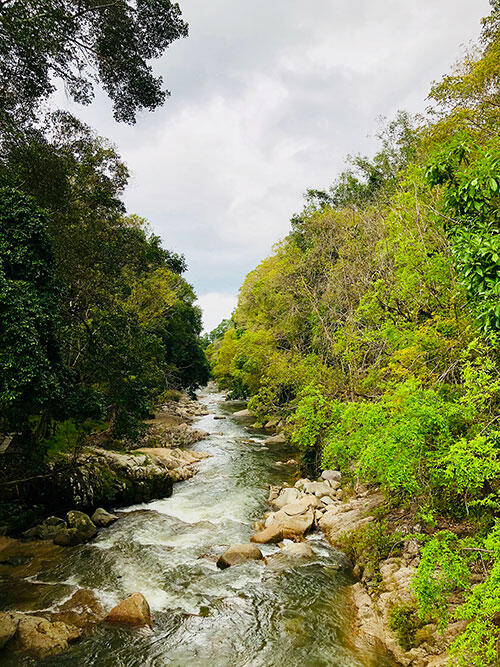 a-lentang-forest-bentong-pahang-3